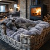 Couverture de luxe en fausse fourrure de koala pour chien | Couverture en fourrure pour chat | Couvertures pour animaux de compa