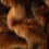 Raynard gingery brown faux fur throw blanket, quality fake fur