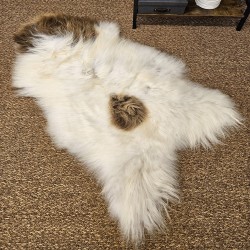 Tappeto in Pura Pelle di Pecora Avorio Bianco | Tappeto in Pelle di Pecora Islandese Bianco Naturale