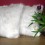 Faux Fur Cushions, Deluxe Polar Faux Fur Cushion , faux-fur-throws