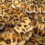 Golden Leopard Faux Fur Cushion