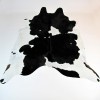 X/Large Black and off-white Cowhide Rug CR00145