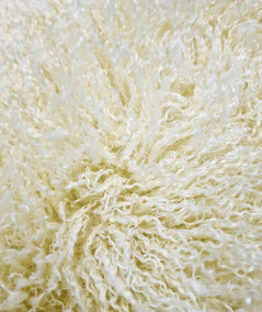 Close up image of the cream curly Mongolian faux fur fabric