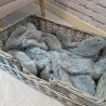 Couvertures de luxe pour chiens en fausse fourrure | Couverture pour chien en fausse fourrure gris cendré | Couverture grise
