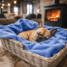 Couverture polaire bleu ciel pour animaux | Couvertures polaires pour animaux | Couvertures bleues pour chiens